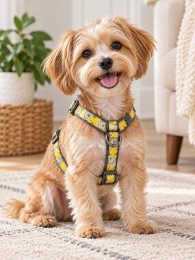 Top Paw Bella Yellow Gray Floral Adjustable Dog Harness Small NWT